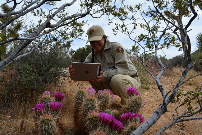 A volunteer smiles at an ipad