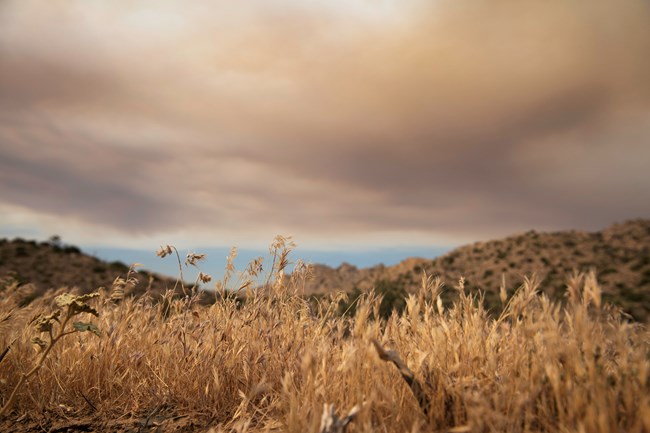 Plumes of red, purple, and brown smoke cloud the air over a field of dried invasive cheatgrass.