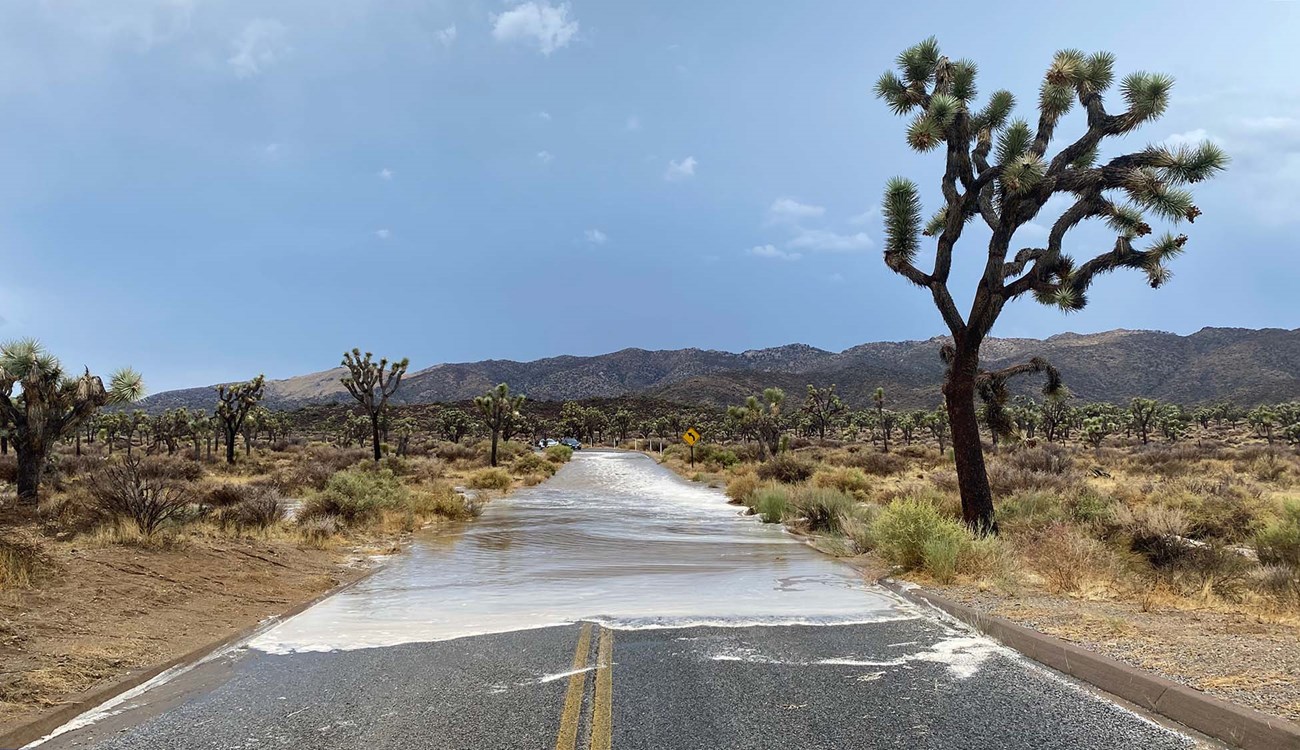 Water standing on a road