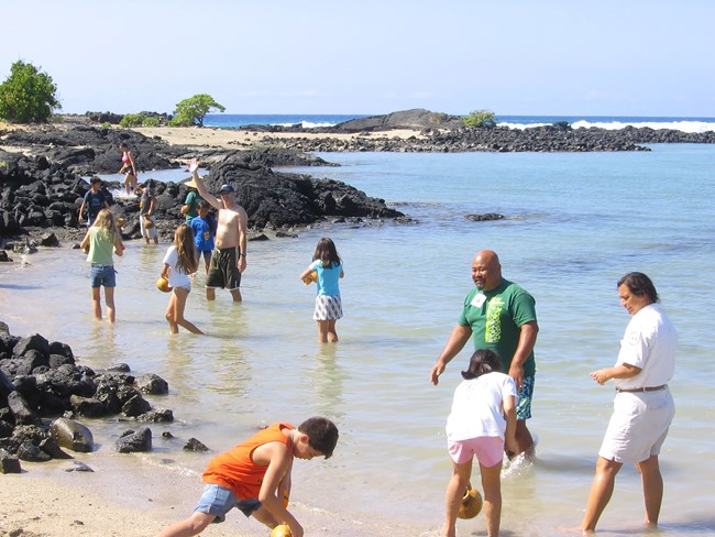 Group of visitors wading in shallow ocean waters