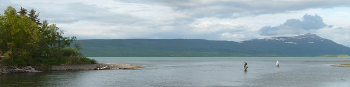 Anglers test their luck and skill at the mouth of the Brooks River