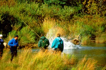 bear jumping in water near people fishing