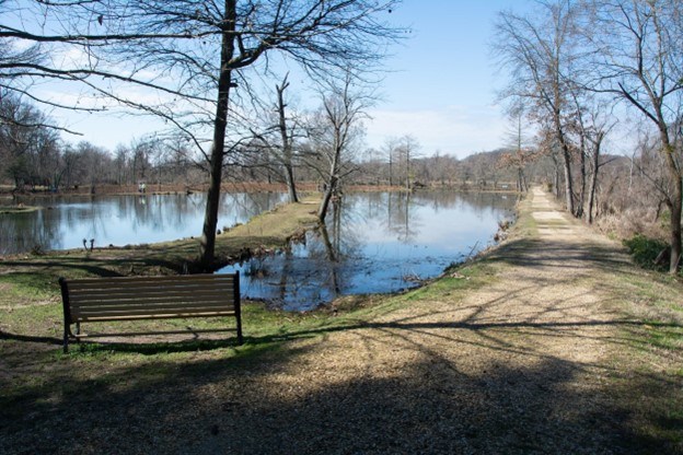 Benches