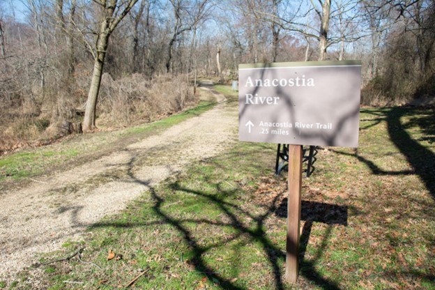 River trail picture