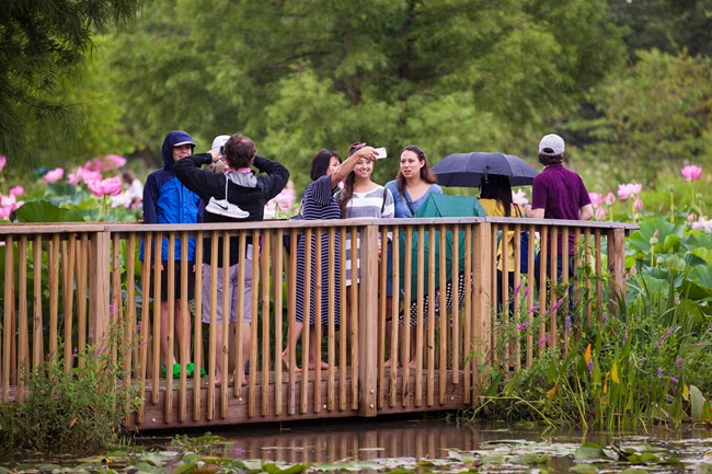 people on the bridge