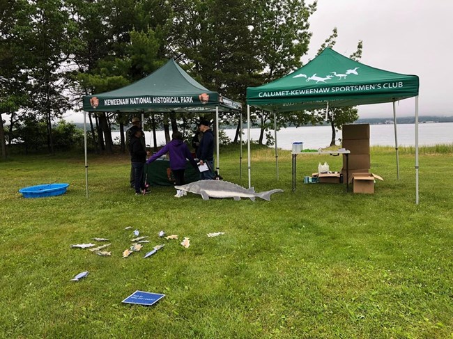 2 green portable tents stand side by side. A life-size cartoon sturgeon lays on the ground in front.