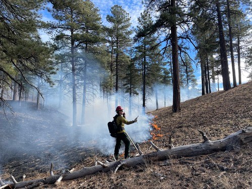 A person in a yellow shirt is talking on a radio while a low fire is burning with smoke. The person is in the forest.