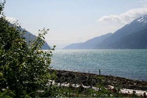 View from shore toward ocean and mountains with a bush and driftwood in foreground.