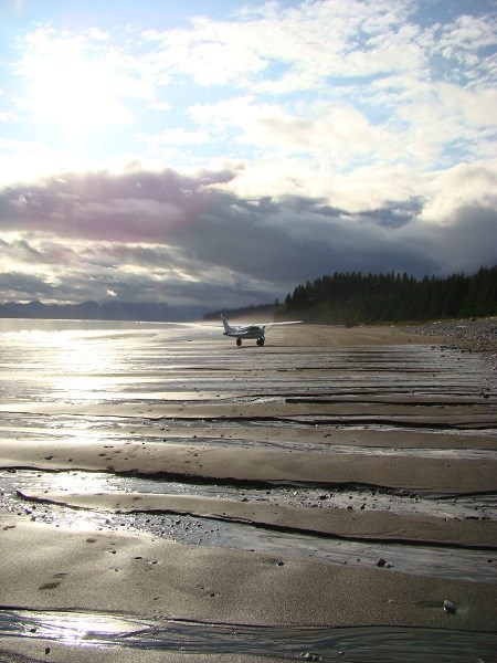 A small plane on a coastal mud flat