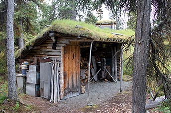 Photo of a three sided wooden structure with miscellaneous items stored in it.