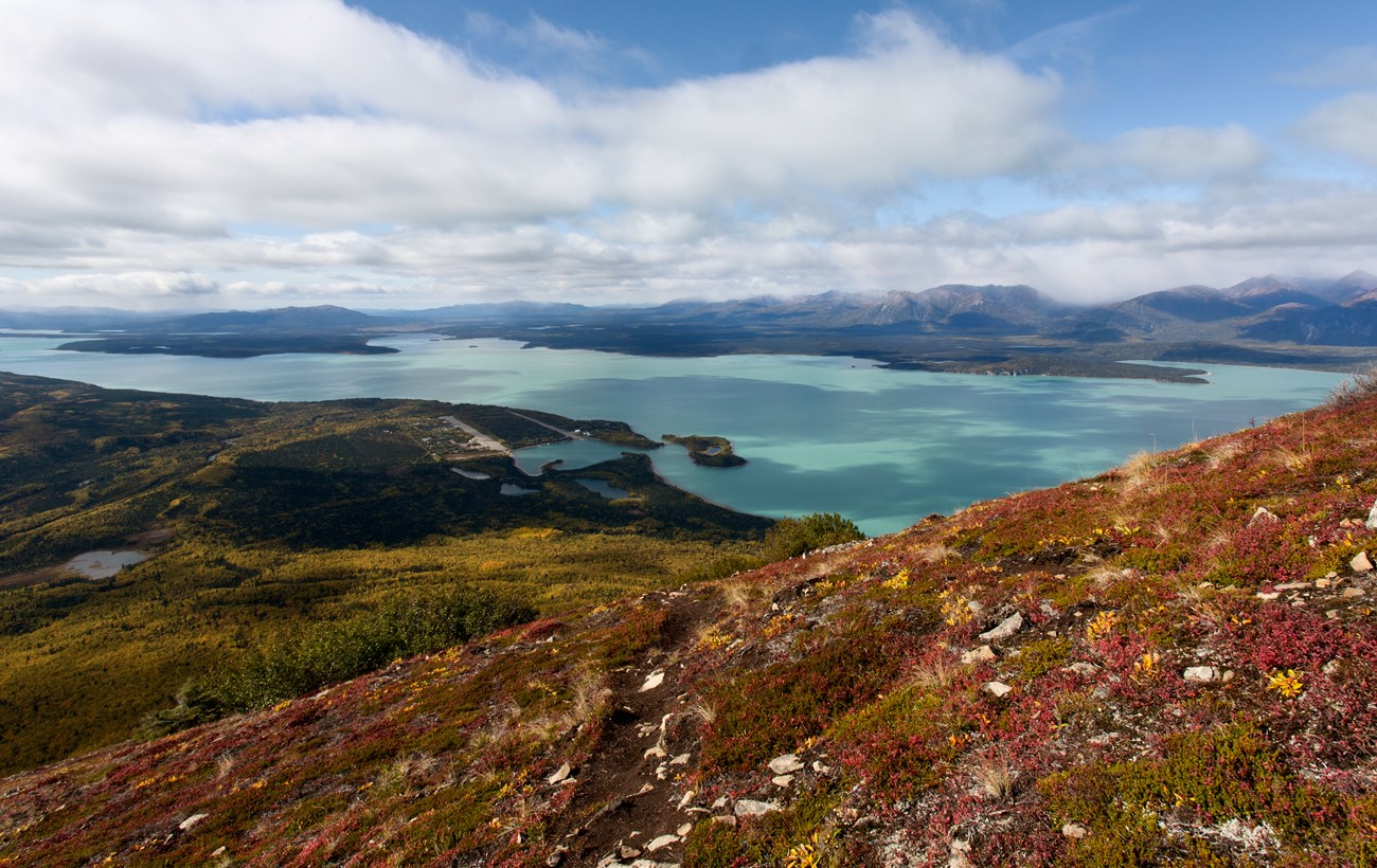 taken from high on the tundra, lake clark is seen in the middle ground and is turquoise in color. The foreground boasts low lying plants, red in color. the town of Port Alsowrth is also in view