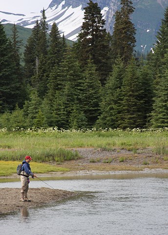 a fisherman by a gently-flowing river, trees and mountain in the background