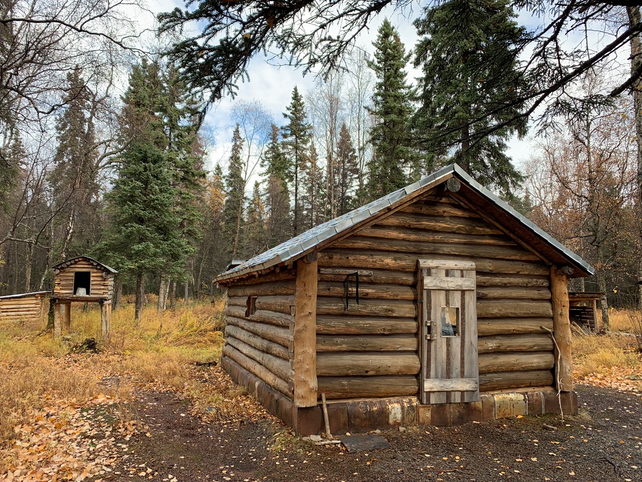 a cabin in a forest