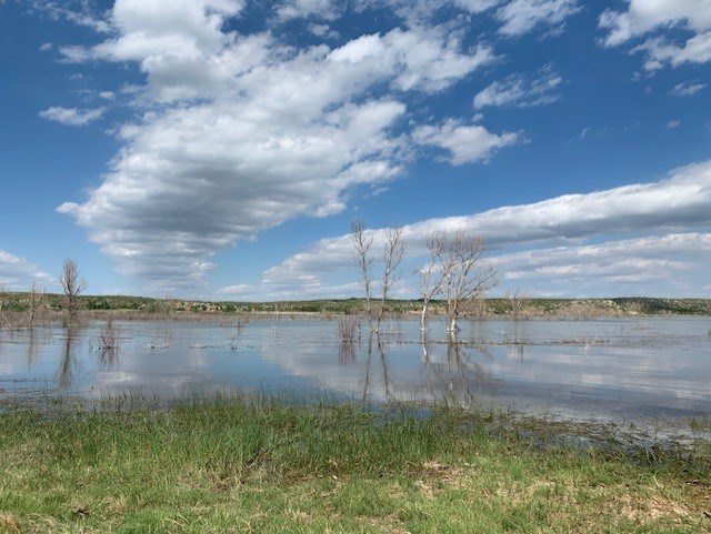 Chimney Hollow wetlands  with very blue waters and dead cottonwoord trees.  The sky is blue.