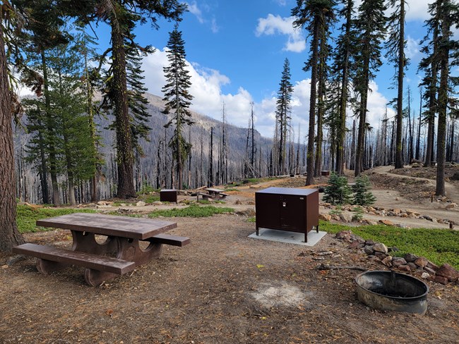 scattered tent sites: picnic tables, fire rings, and metal bear boxes among pine trees on a hillside