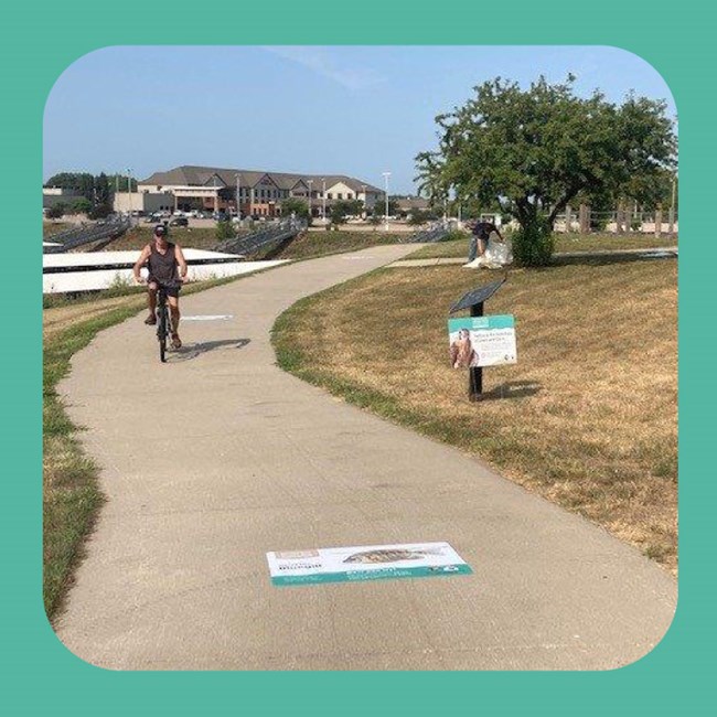 Cyclist along river path. Sidewalk sticker with fish. Yard sign with photo of kestrel.