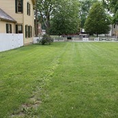 Grass lot within a fence