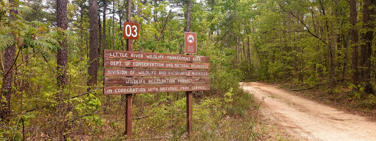 Wooden sign for the Wildlife Management Area at the edge of the woods next to a dirt road.