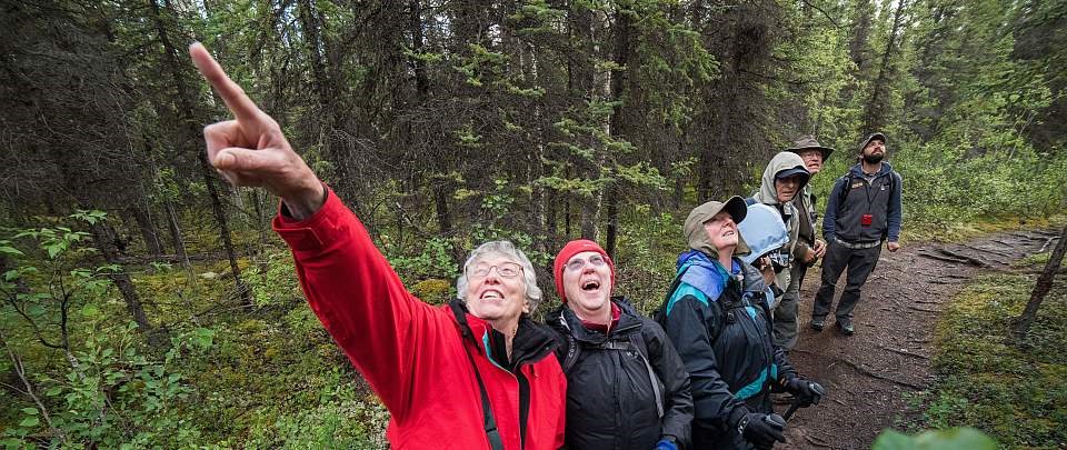 a woman points upwards, standing with a group of people on a trail in the forest