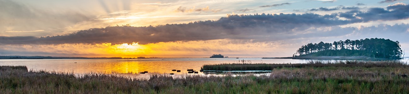 The sun breaks the horizon at dawn over open water and a marsh.