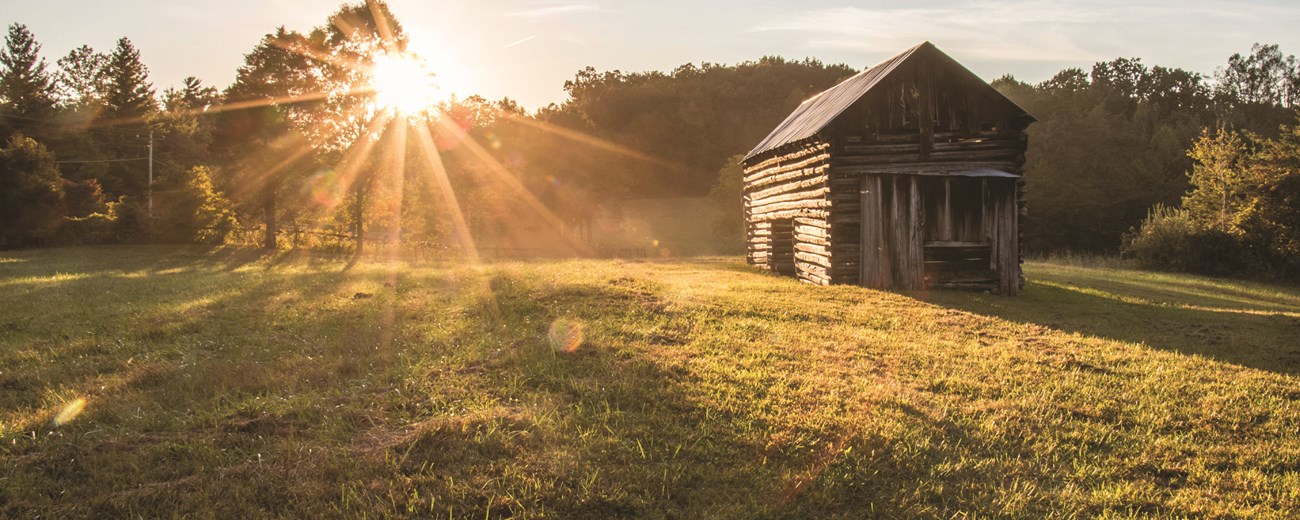 A wooden structure sits in a field surrounded by trees with sunshine shining through the trees.