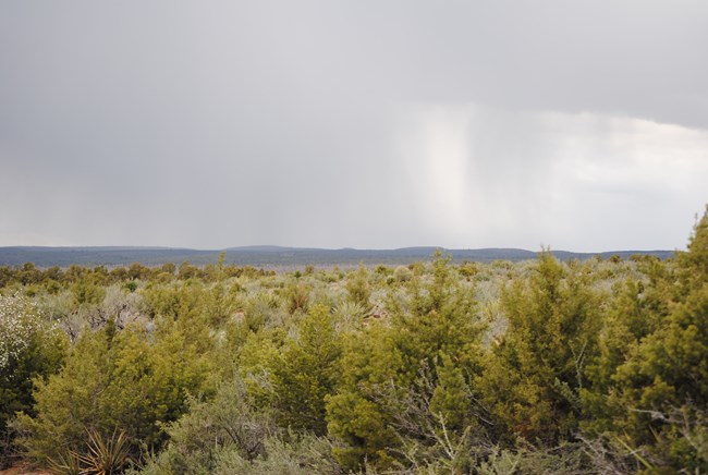 sky is blue-gray and rain is visibly falling onto a green valley filled with shrubs.