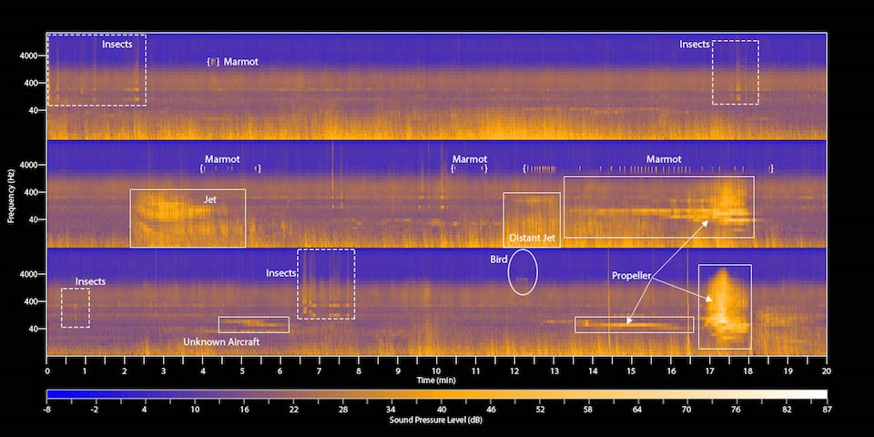 A graph of sound frequencies with certain patterns (insects, marmot, propeller) outlined with boxes.