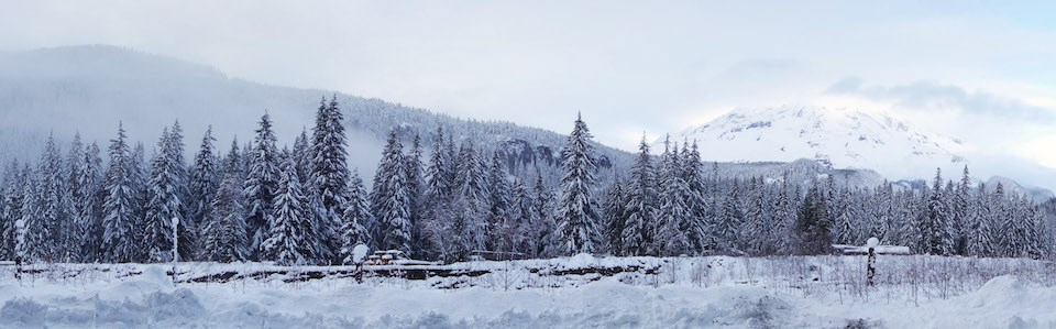 Panoramic image of a snowy forested ridge with a mountain peak partially wrapped in clouds rising above the ridge.