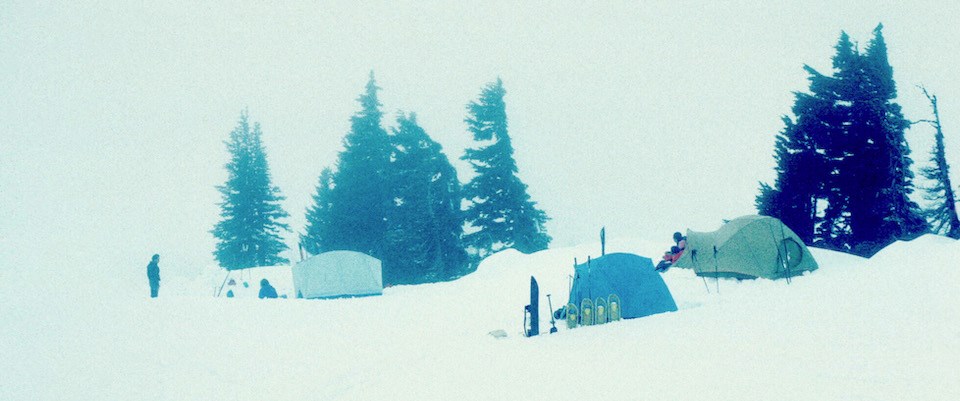 Several tents set up against a few fir trees in whiteout snow conditions.