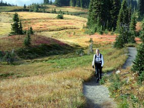 Hiker on the Skyline Trail