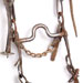 GRKO17413_bridle