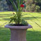 Garden Urn