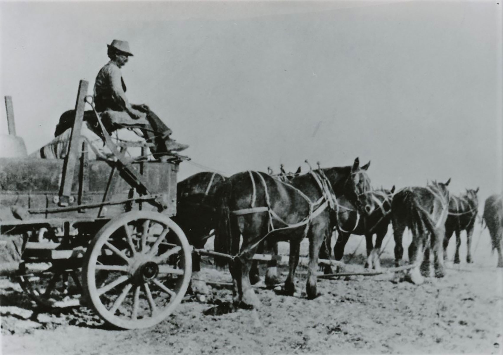 Desert Queen Mine