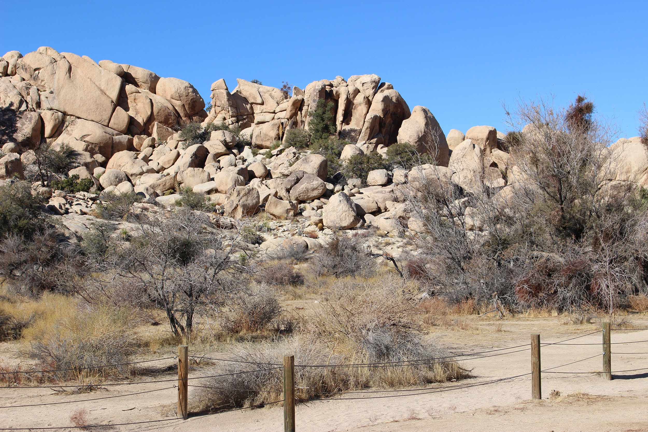 Looking toward the site today