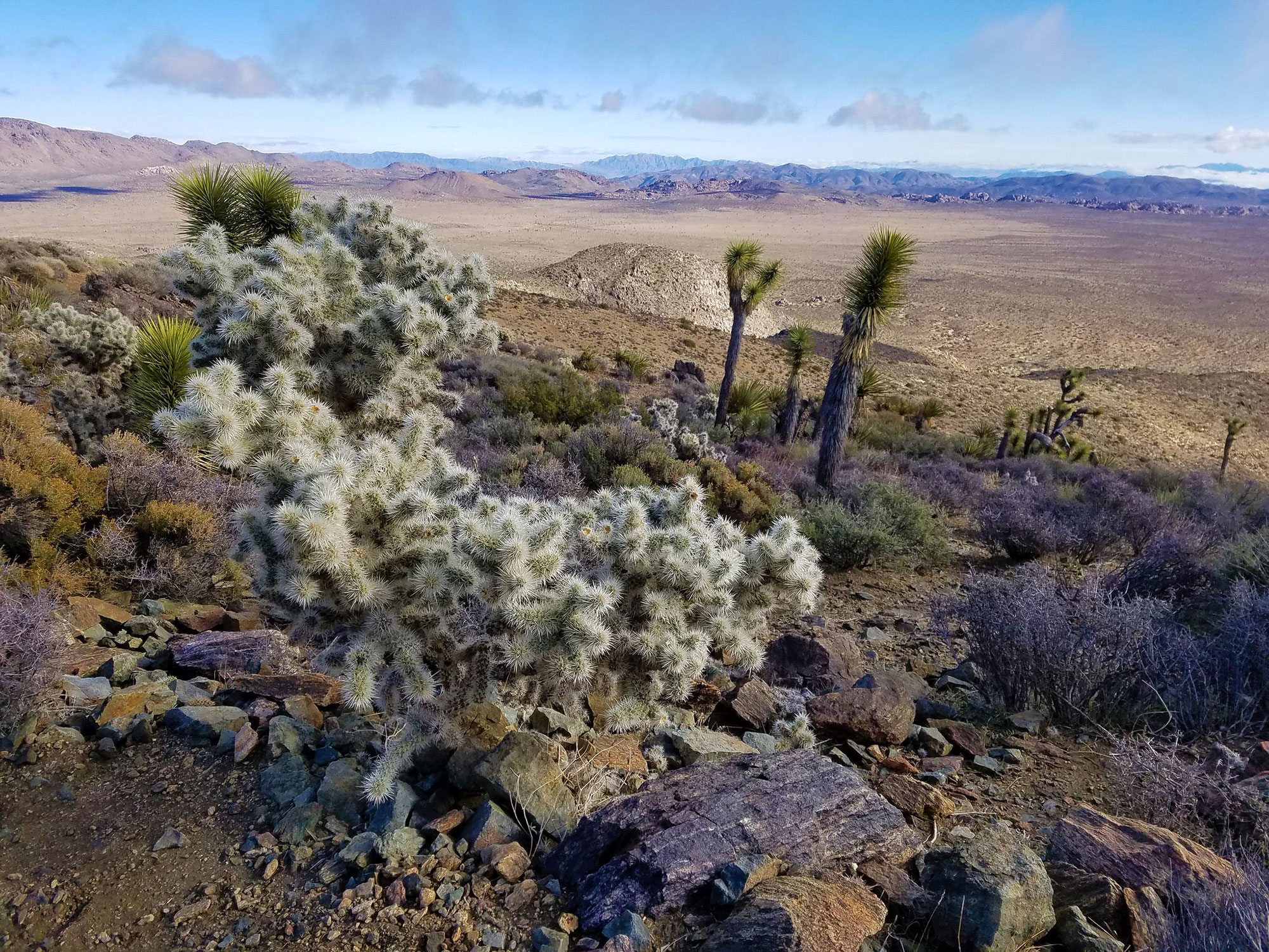 View from the Top of Ryan Mountain