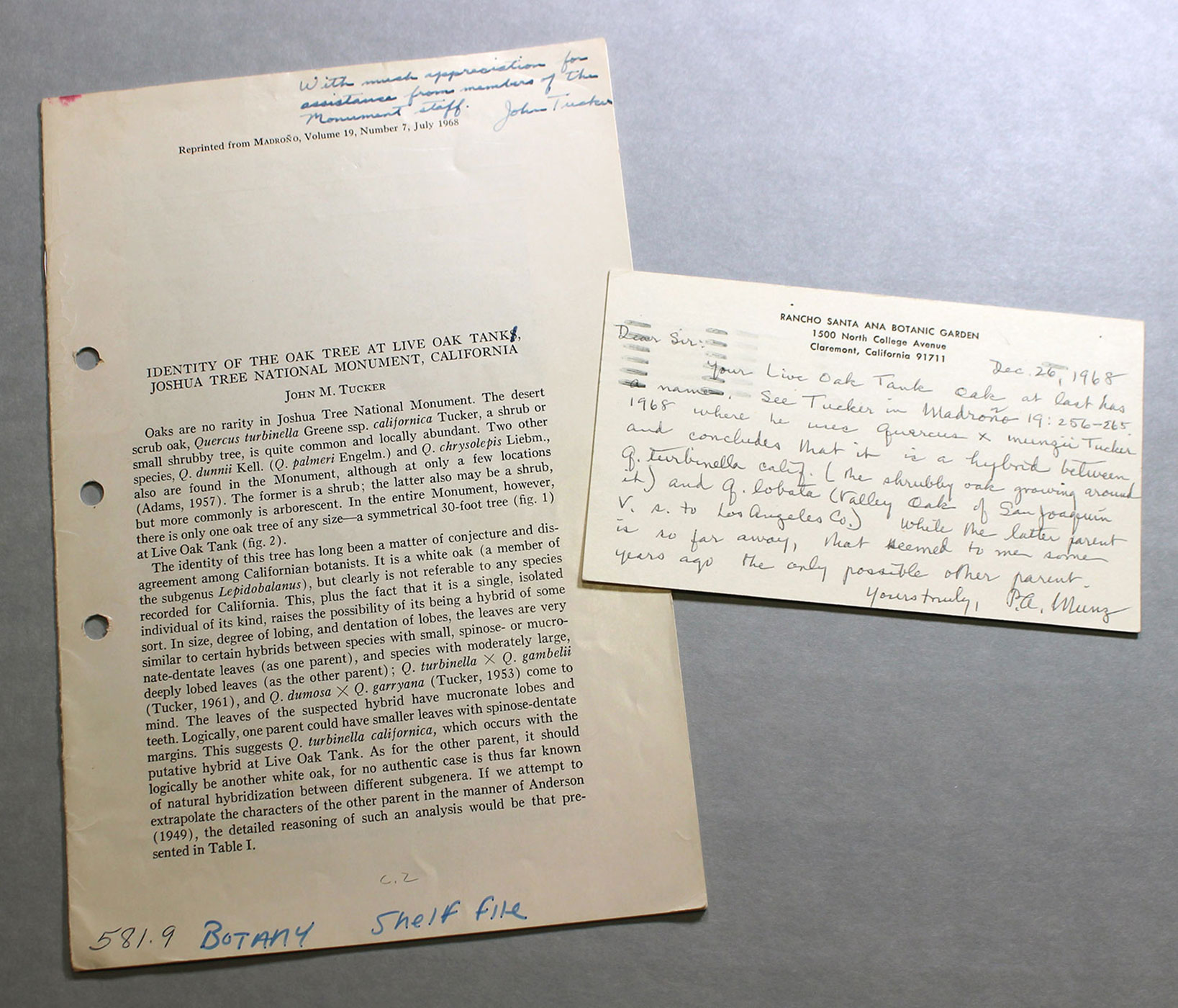 John Tucker's report in the journal Madroño and postcard detailing the naming of the oak from Philip Munz