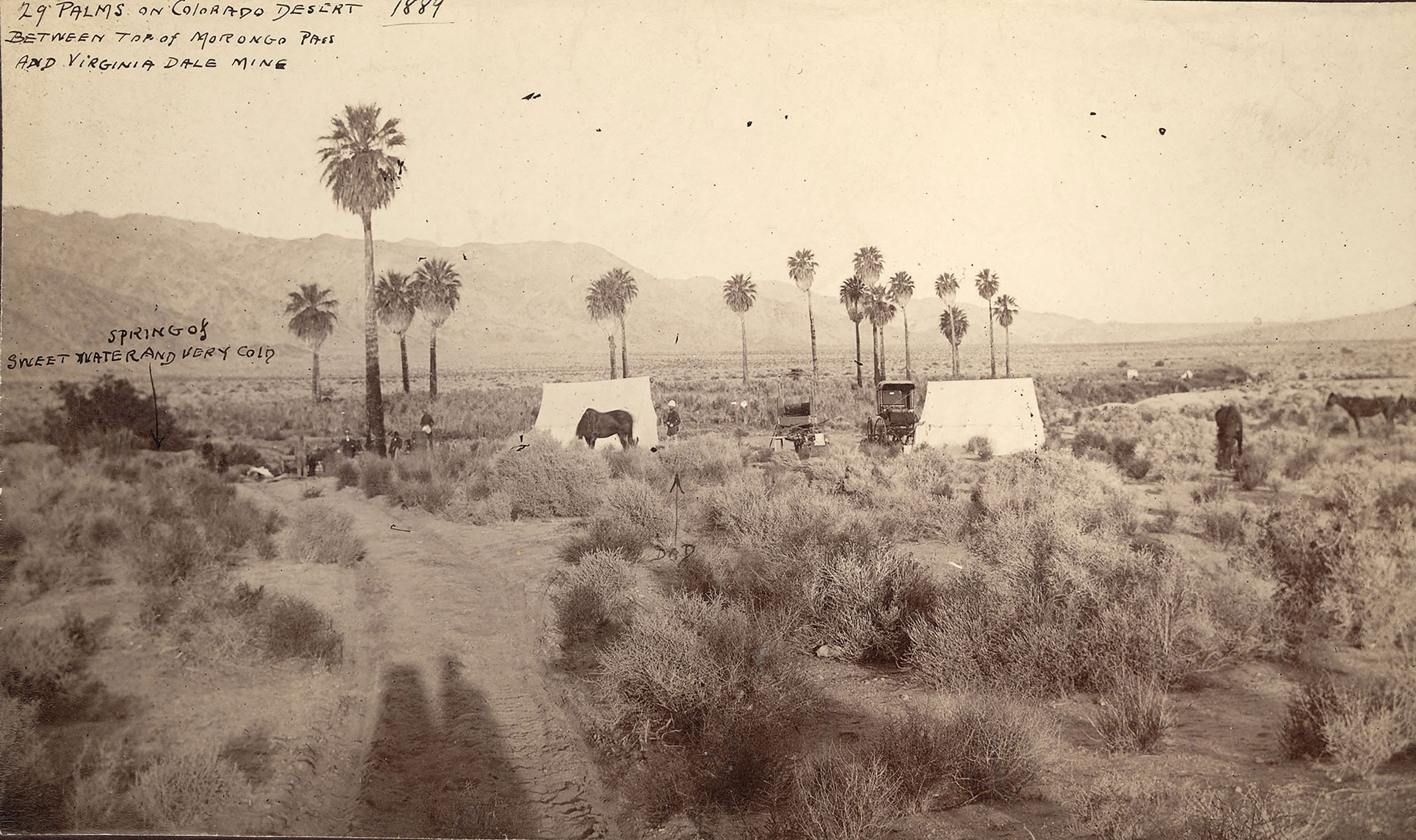 Spring of sweet water and very cold/ 29 Palms on Colorado Desert between top of Morongo Pass and Virginia Dale Mine