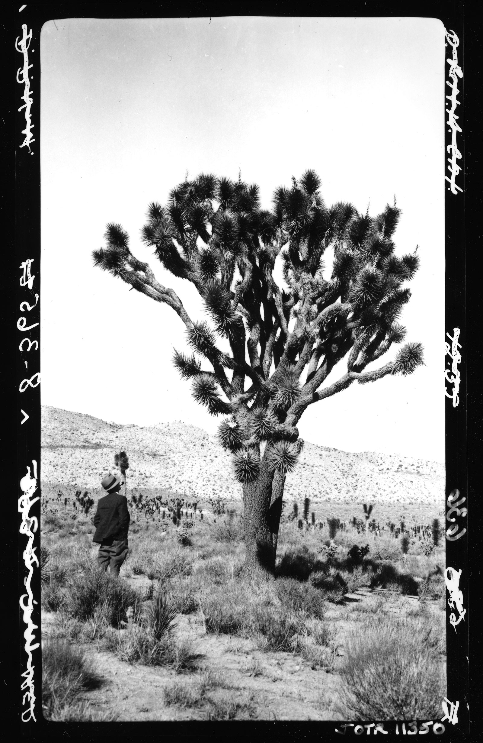 National Park Service Inspector  P. T. Primm on inspection trip