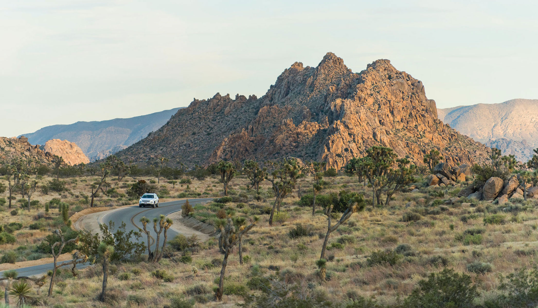 Joshua Tree landscape