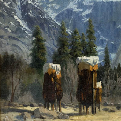 Mount Star King, Acorn Caches in Foreground