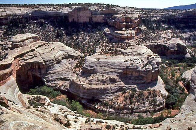 winding canyon with Sipapu Bridge to the left