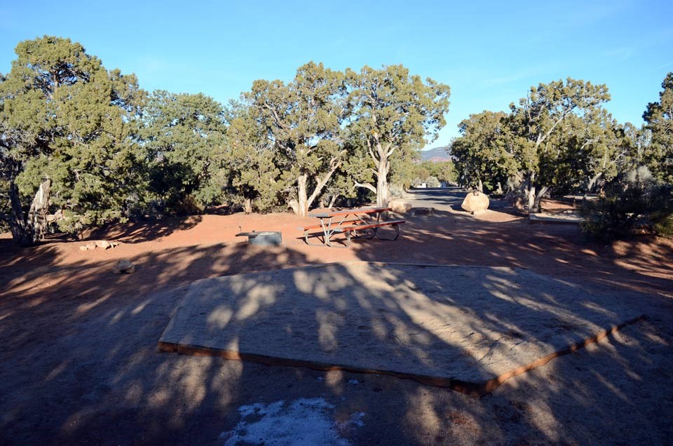 campsite with picnic table surrounded by trees