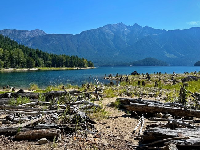 View of Jack Mountain from a lakeshore with cut tree stumps