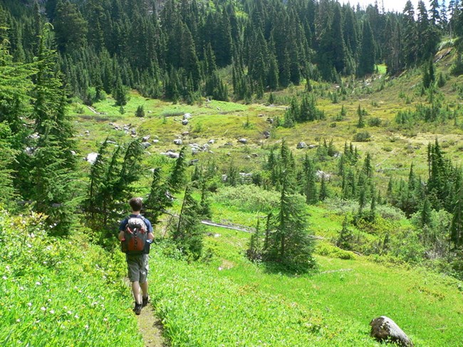 Meadows en route to Monogram Lake