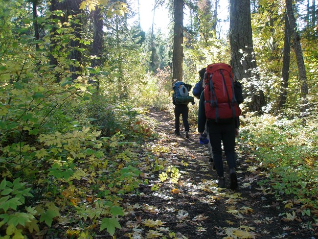 Autumn along the Old Wagon (Pacific Crest) Trail