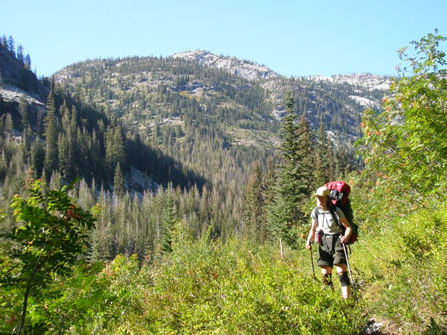 Upper Rainbow Creek trail