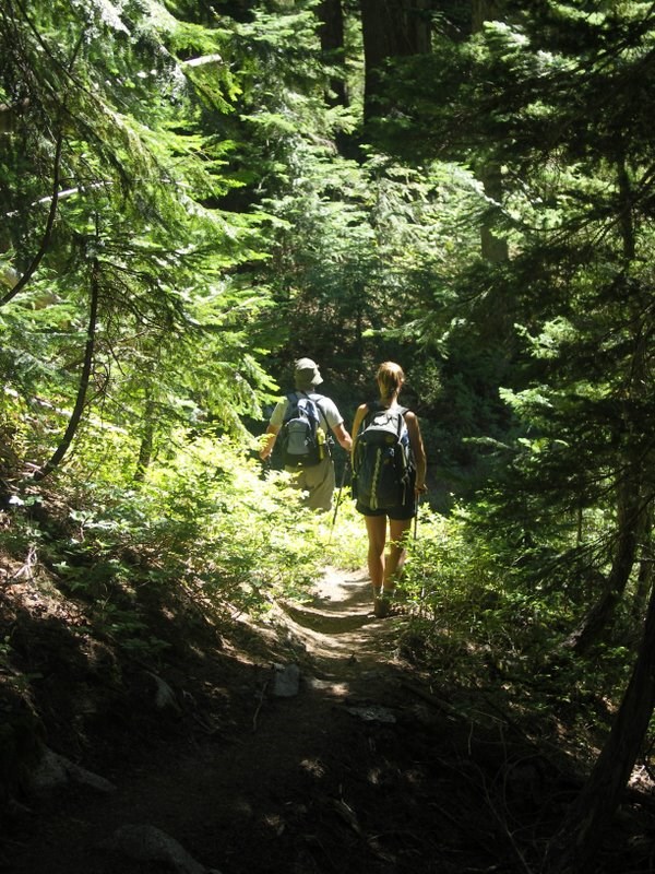 Forested section of Thornton Lake Trail