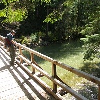 A hiker stands on a bridge over a creek.