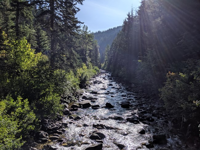 North Fork Bridge Creek