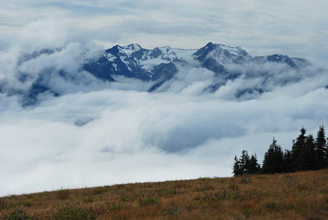 Beyond a tawny hillside, snowy blue mountain peaks rise out of the clouds.